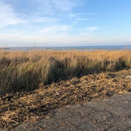 Seepferdchen Ferienhaus